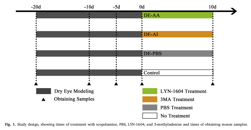 1640237748199868.png 圖片1.png